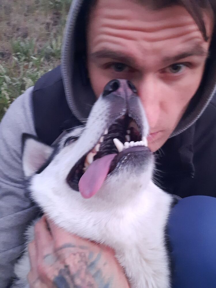 ���������� ��������, ���� ������� ����, 36 ���, ������������ ��� ������, ����� � ���������