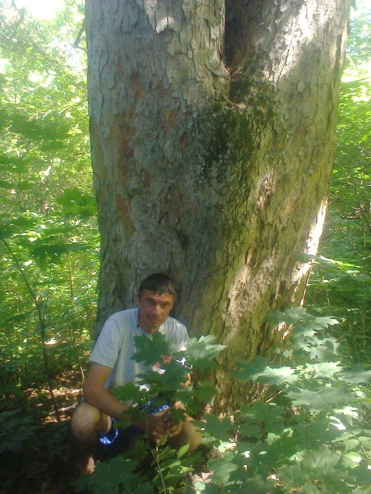 ���� 8122236 ������� Genabiy, 40 ���, ���� ���������� � ������ ����