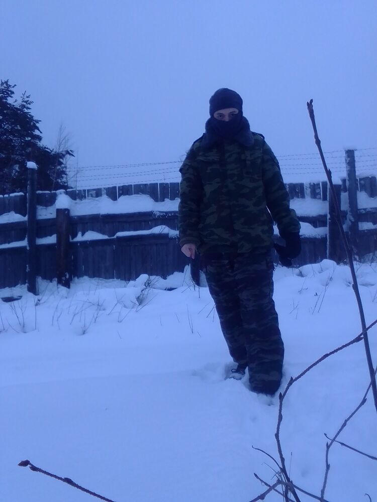  31366726  , 33 ,    -