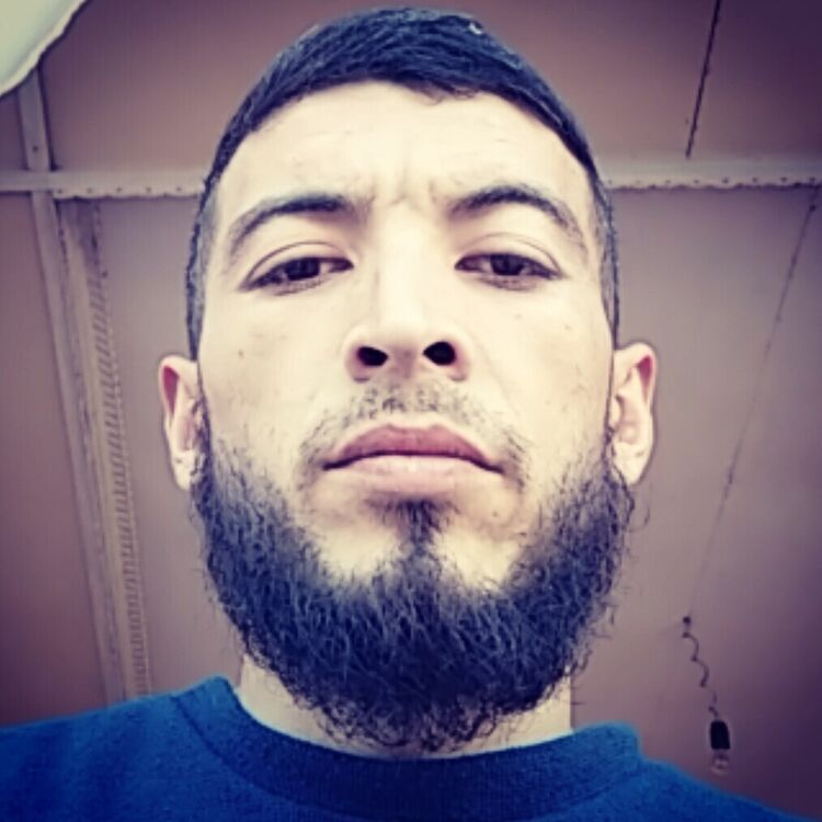  ,   , 31 ,     , c , 