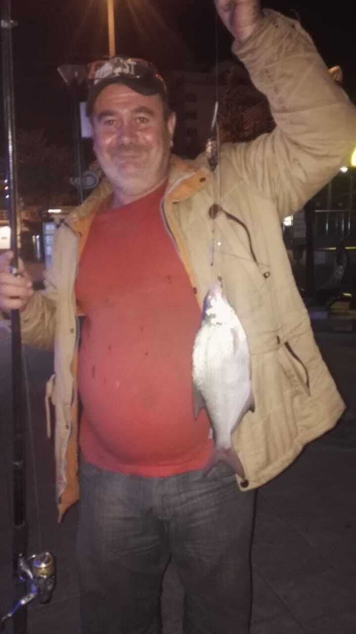  --,   , 43 ,   ,   