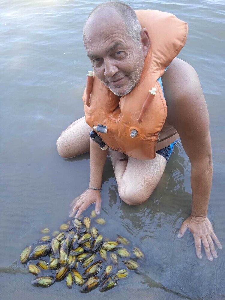  ,   , 57 ,   ,   
