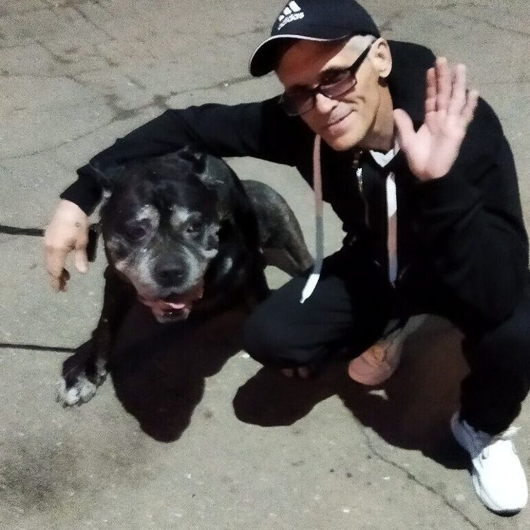 ���������� ��������, ���� ������� ��������, 35 ���, ������������ ��� ������, ����� � ���������