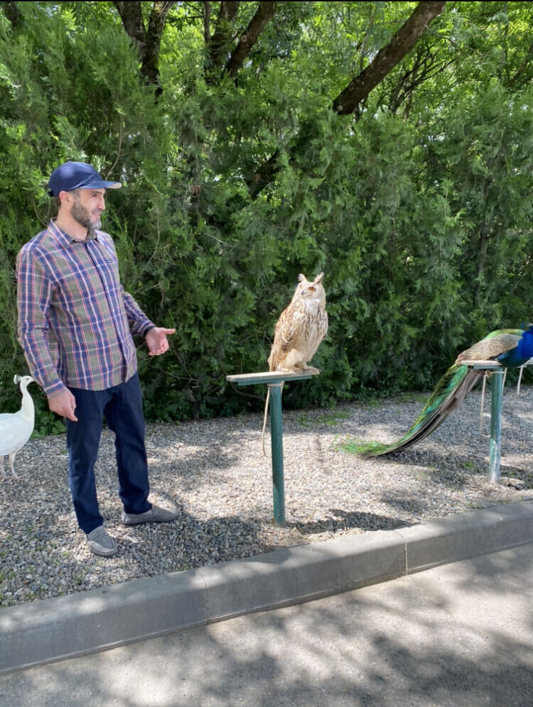 ���������� ���������, ���� ������� ����, 35 ���, ������������ ��� ������, ����� � ���������