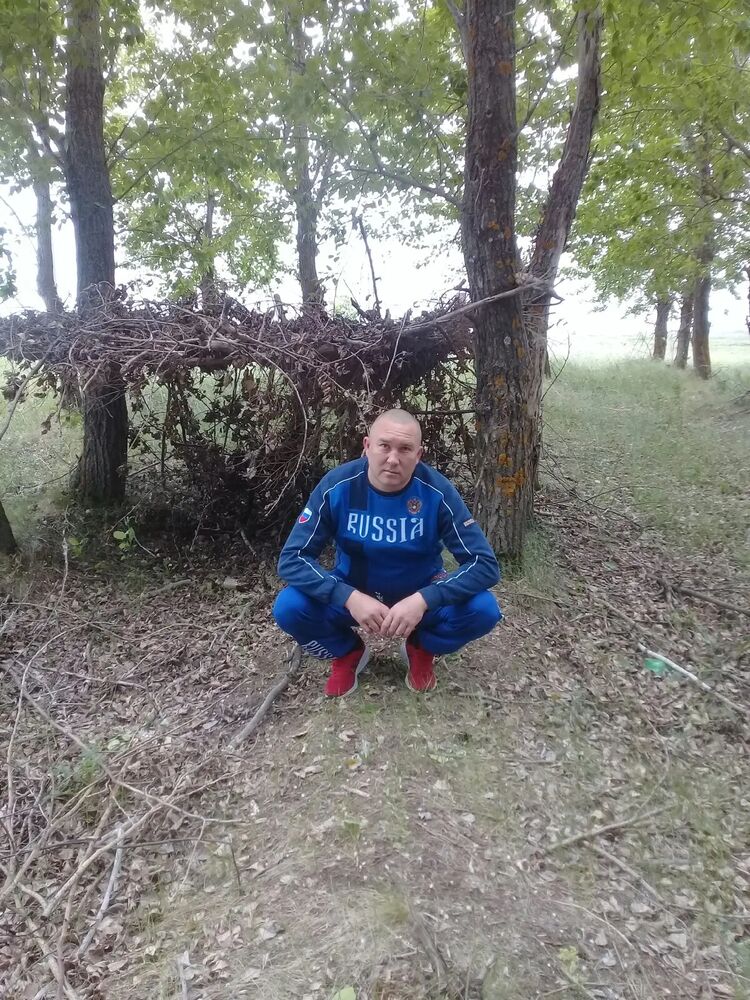  47565546  , 40 ,    