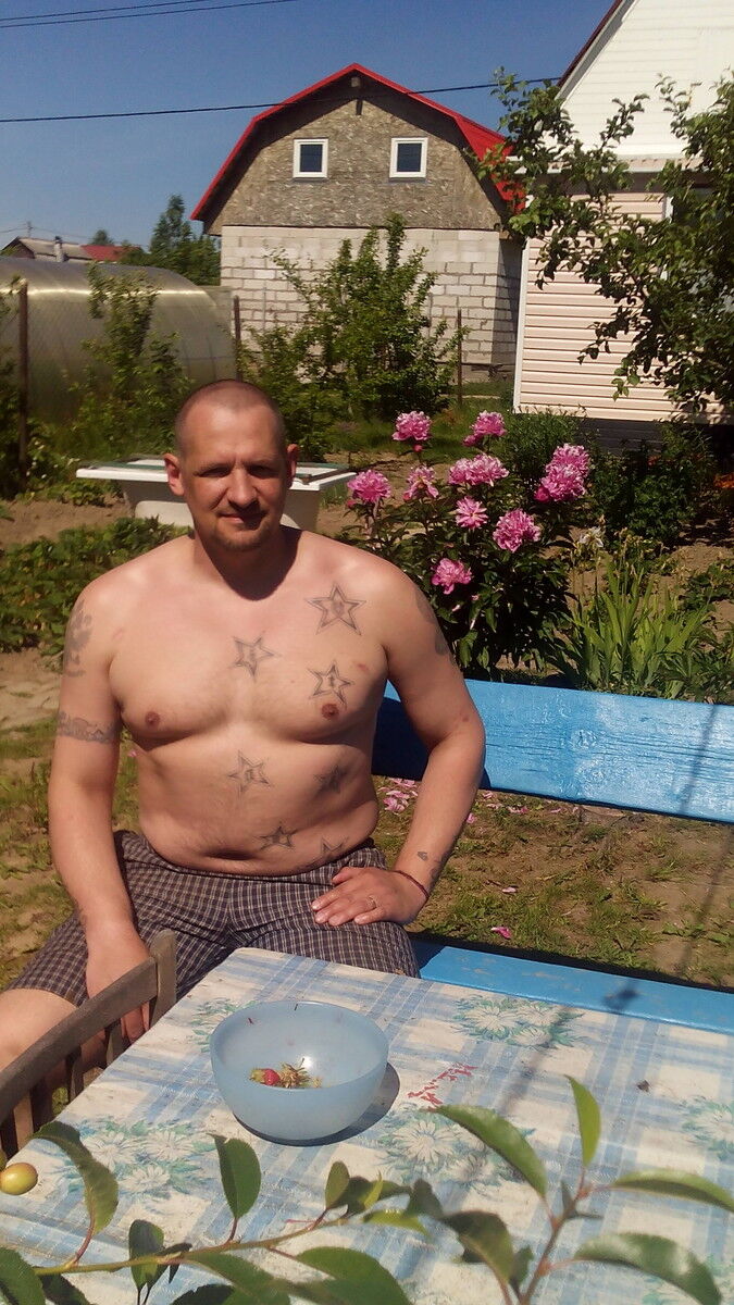  8105906  , 49 ,    -