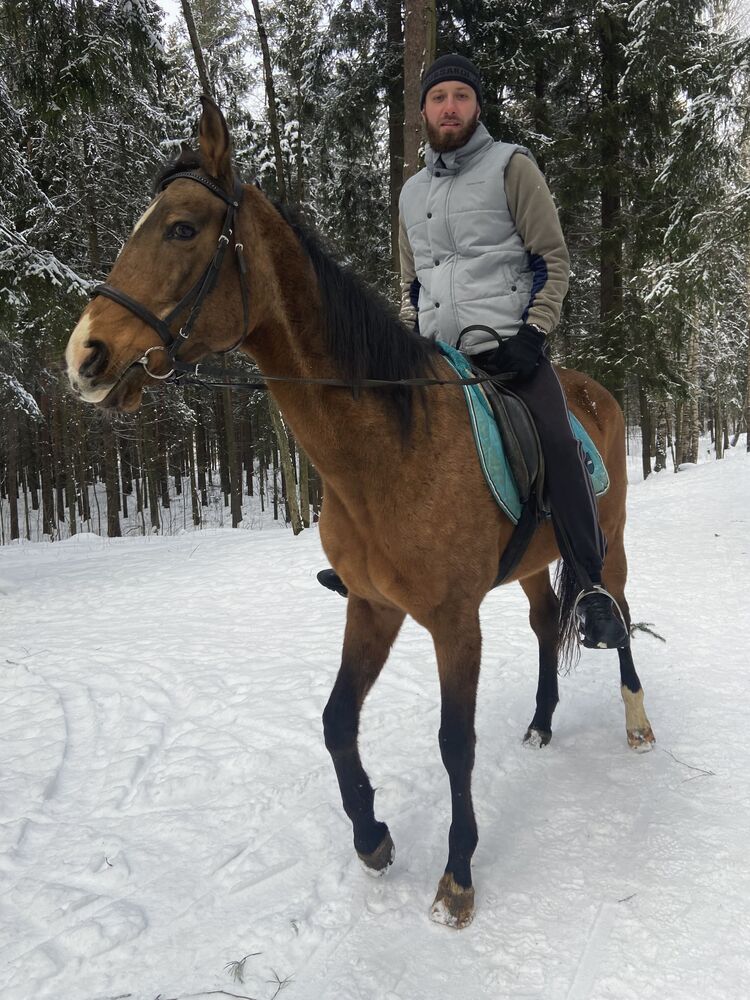  34898336  , 29 ,    -