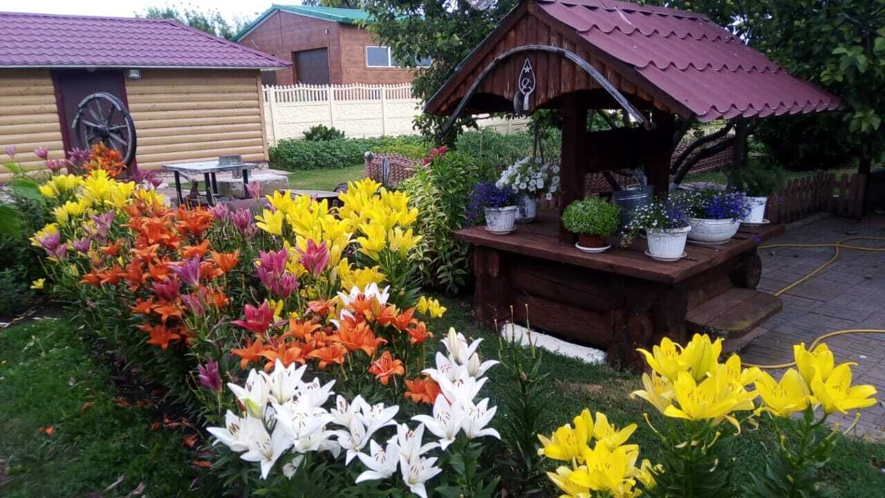  ,   , 100 ,     , c , 
