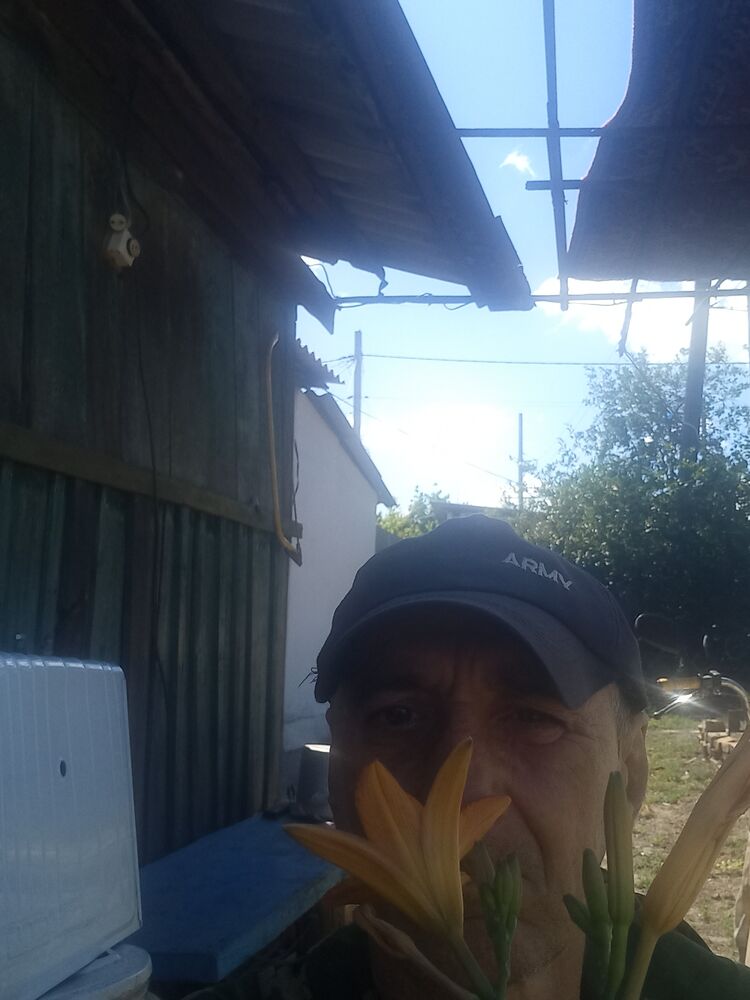  ,   , 66 ,   c , 