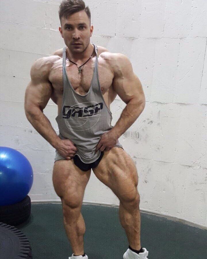 ���� 23539556 ������� ����, 40 ���, ���� ���������� � ����������