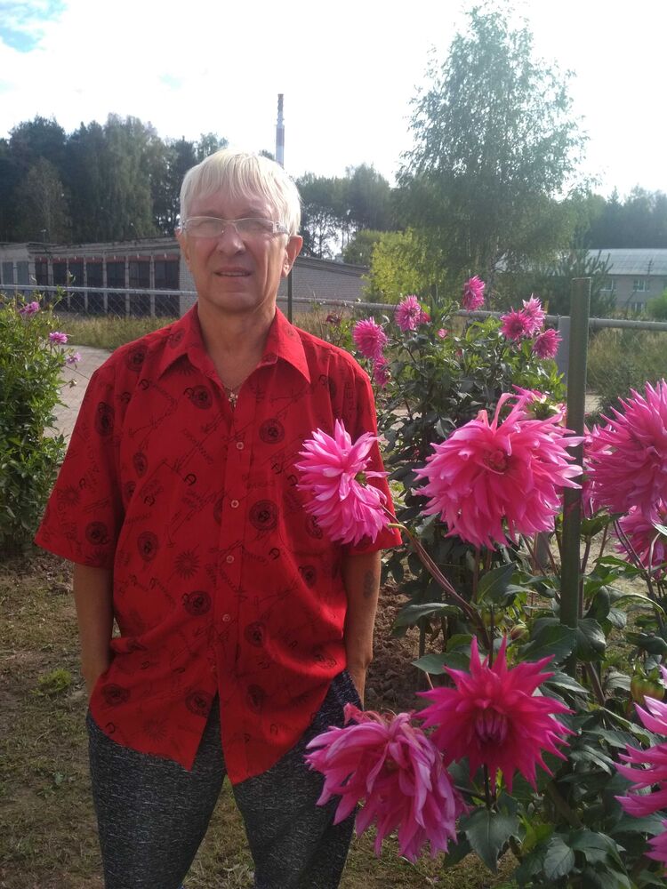 ���� 54341766 ������� �����, 60 ���, ���� ���������� � ���������