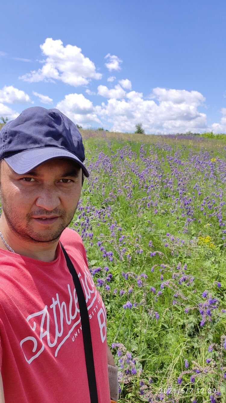 ���� 23680096 ������� ����, 38 ���, ���� ���������� � ������