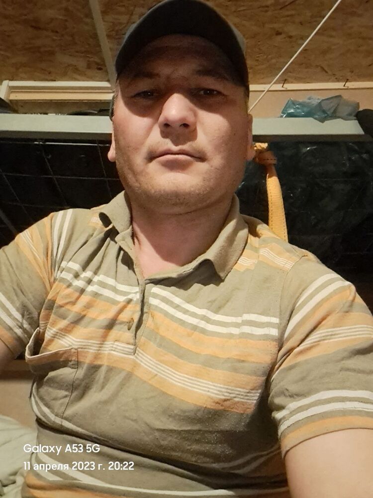  33840466  , 44 ,    