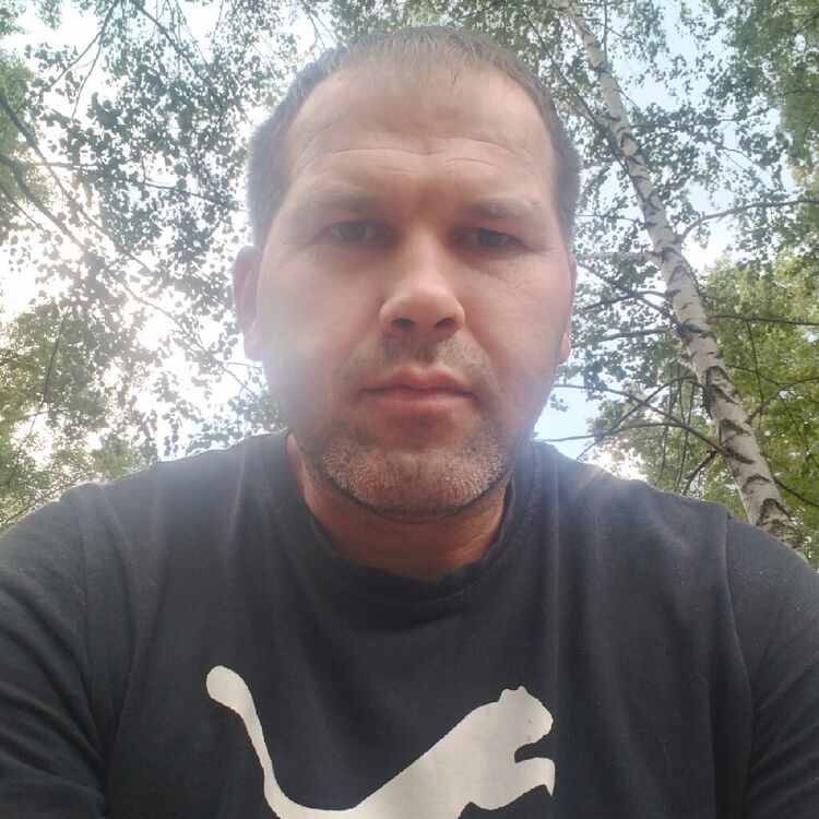  49265866  , 38 ,    