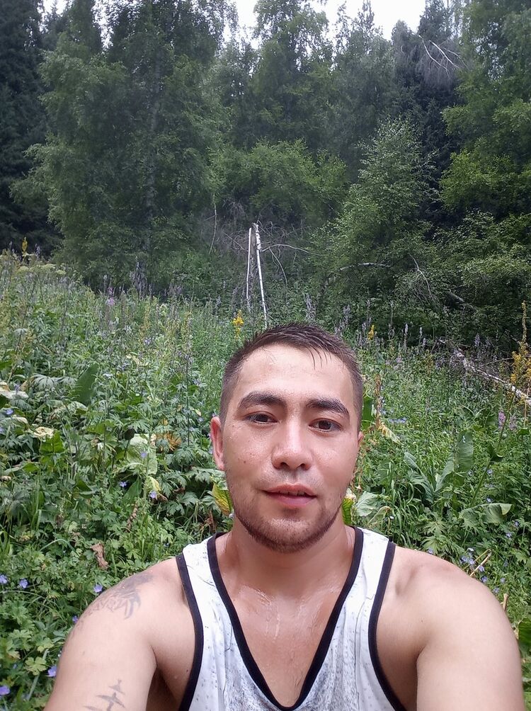 ���������� ������, ���� ������� �����, 33 ����, ������������ ��� ������, ����� � ���������, c�������� ���������