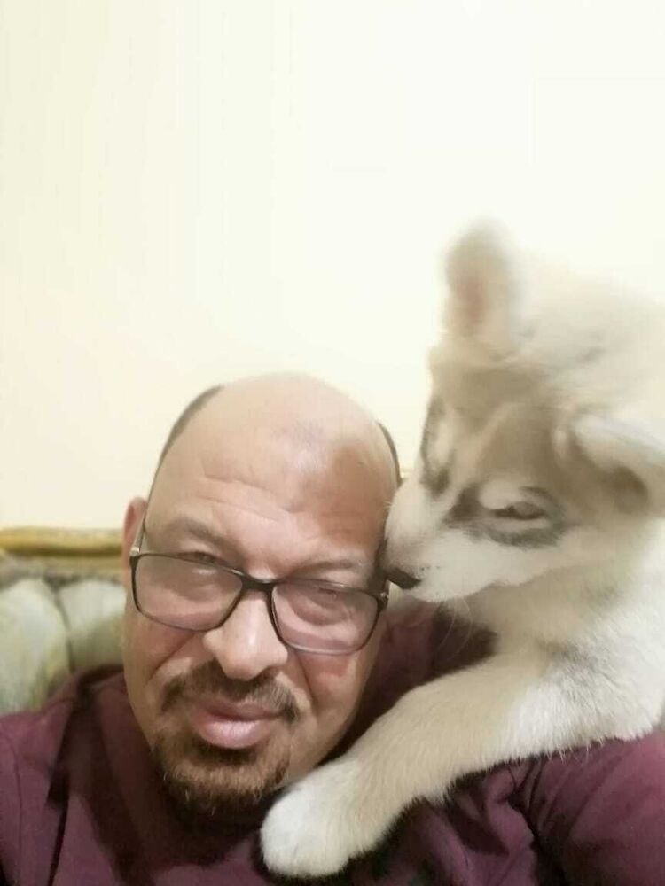 ���������� ������, ���� ������� Gamil, 55 ���, ������������ ��� ������, ����� � ���������