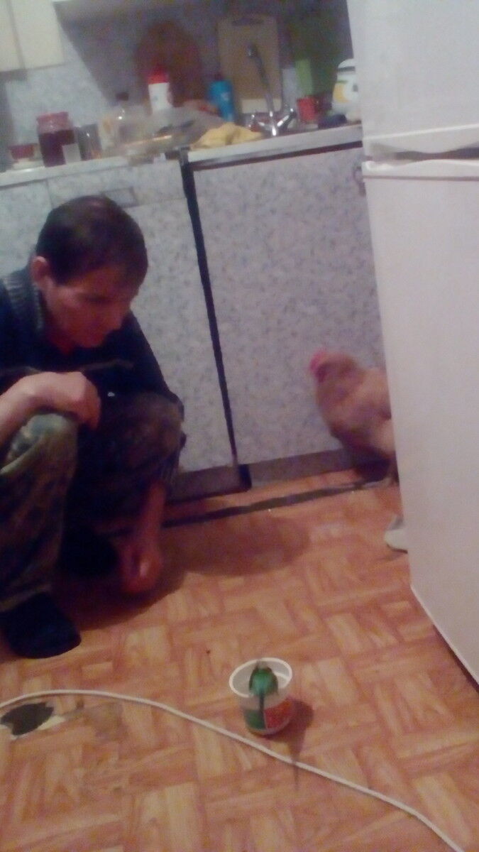 ���� 14026386 ������� ������, 52 ����, ���� ���������� � ������