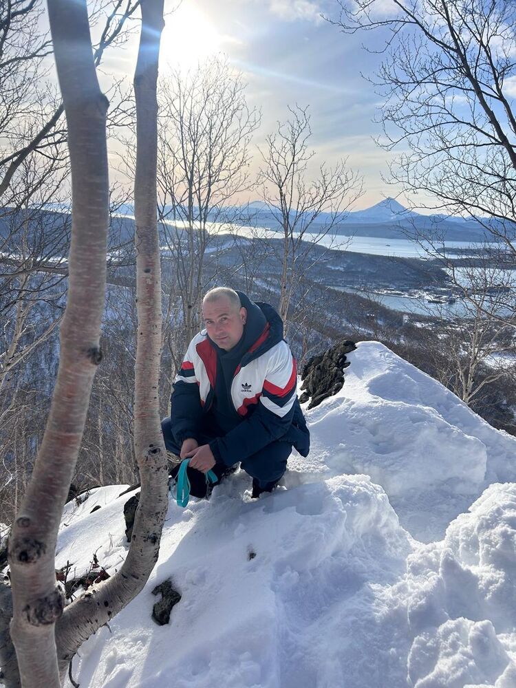  54533426  , 41 ,    -