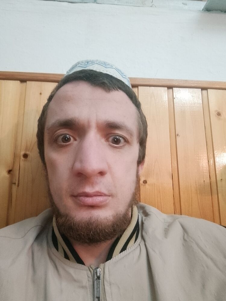 ���� 56313076 ������� Gamzat, 29 ���, ���� ���������� � �����-����������