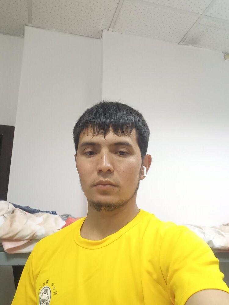  31337476  , 31 ,    