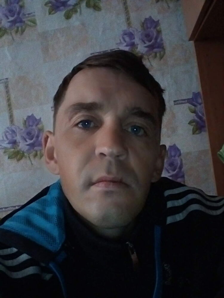 31326736  , 44 ,    