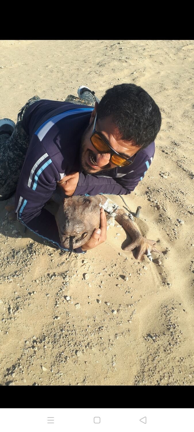 ���������� �����-���������, ���� ������� ���, 38 ���, ������������ ��� ������, ����� � ���������, c�������� ���������, ���������