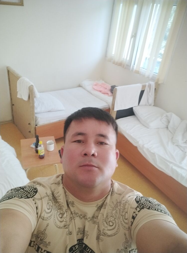  47779766  , 33 ,    
