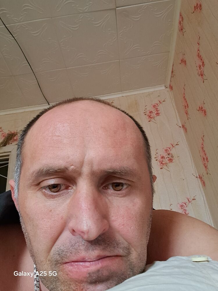  50890536  , 41 ,    