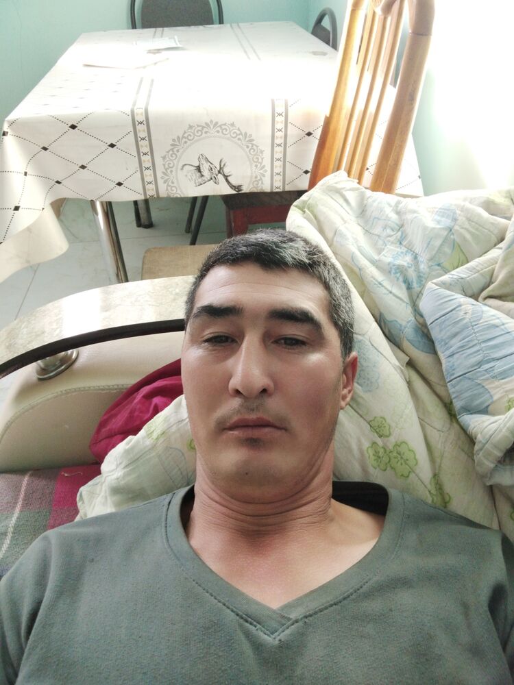  47855576  , 34 ,    