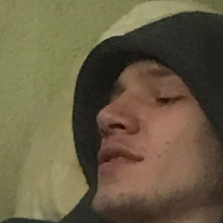  31027876  , 22 ,    