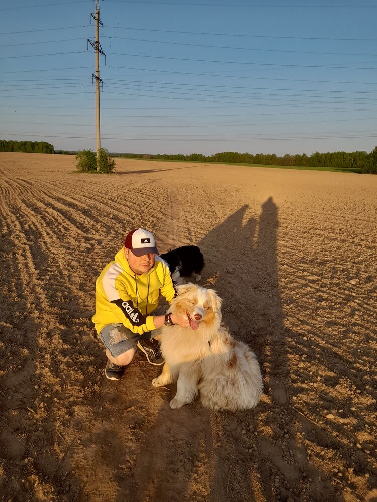 ���������� ��������, ���� ������� ���������, 35 ���, ������������ ��� ������, ����� � ���������, c�������� ���������