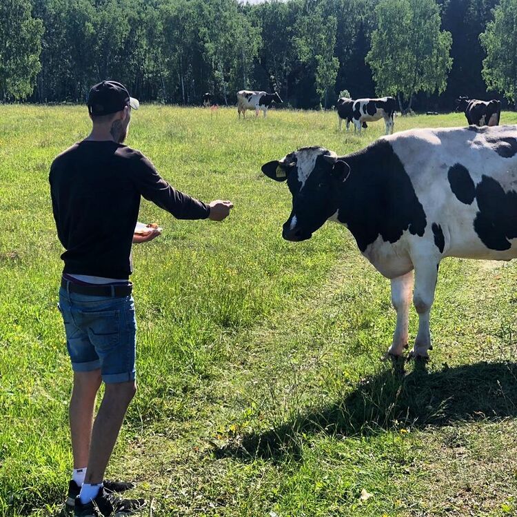 ���� 29706266 ������� �������, 35 ���, ���� ���������� � ������