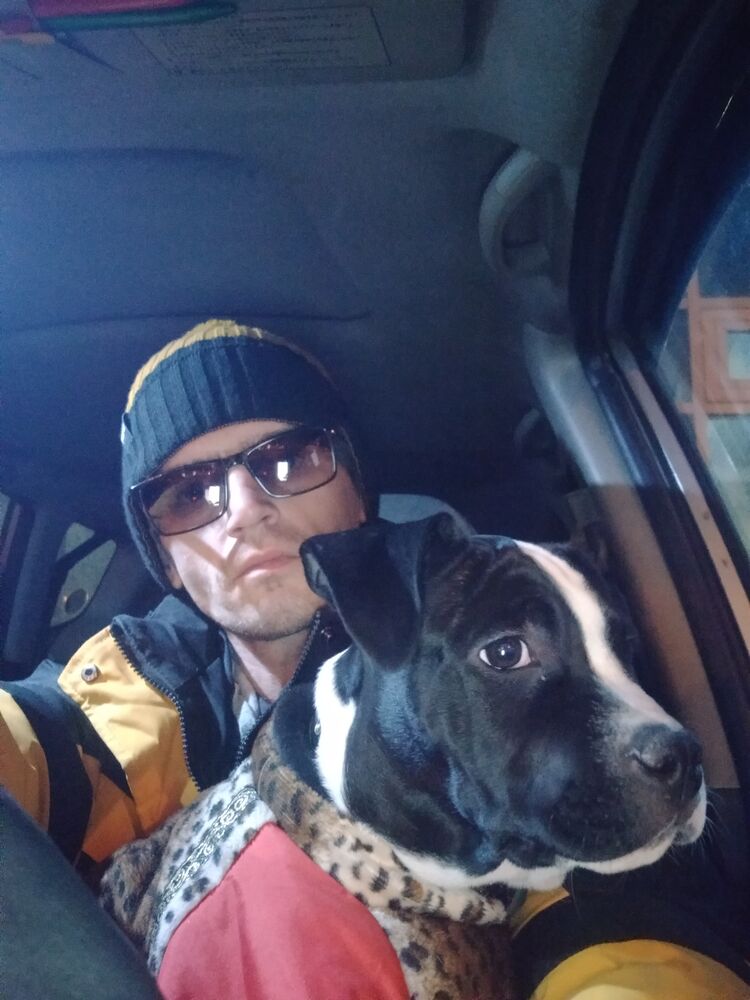 ���������� �����������-��-�����, ���� ������� �����, 37 ���, ������������ ��� ������, ����� � ���������, c�������� ���������, ���������