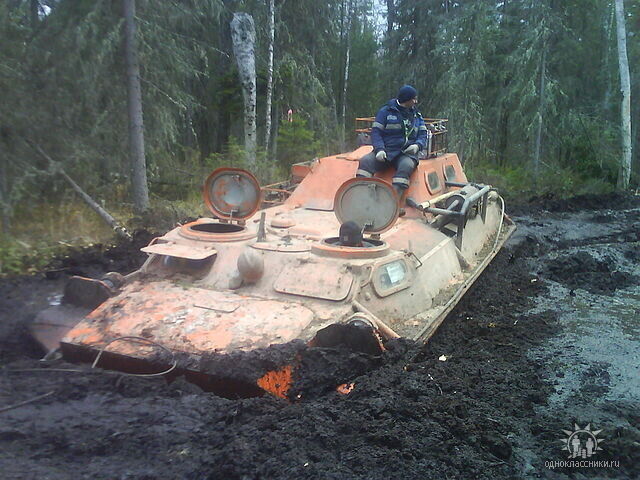  20085606  , 41 ,    