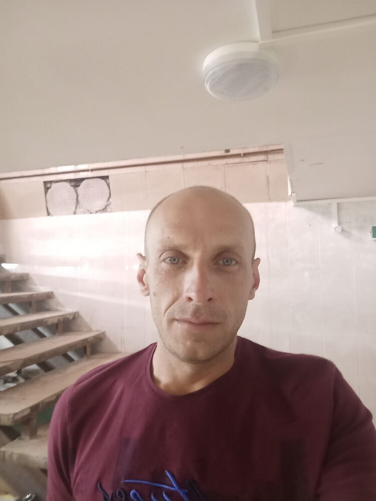 ���� 23615356 ������� ����, 44 ����, ���� ���������� � ��������