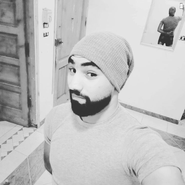  51638186  , 31 ,    