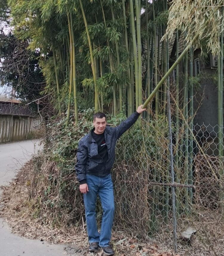 ���������� ��������, ���� ������� ������, 55 ���, ������������ ��� ������, ����� � ���������