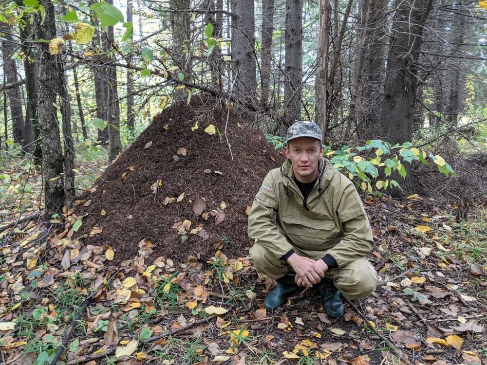 ���������� ���, ���� ������� ����, 41 ���, ������������ 