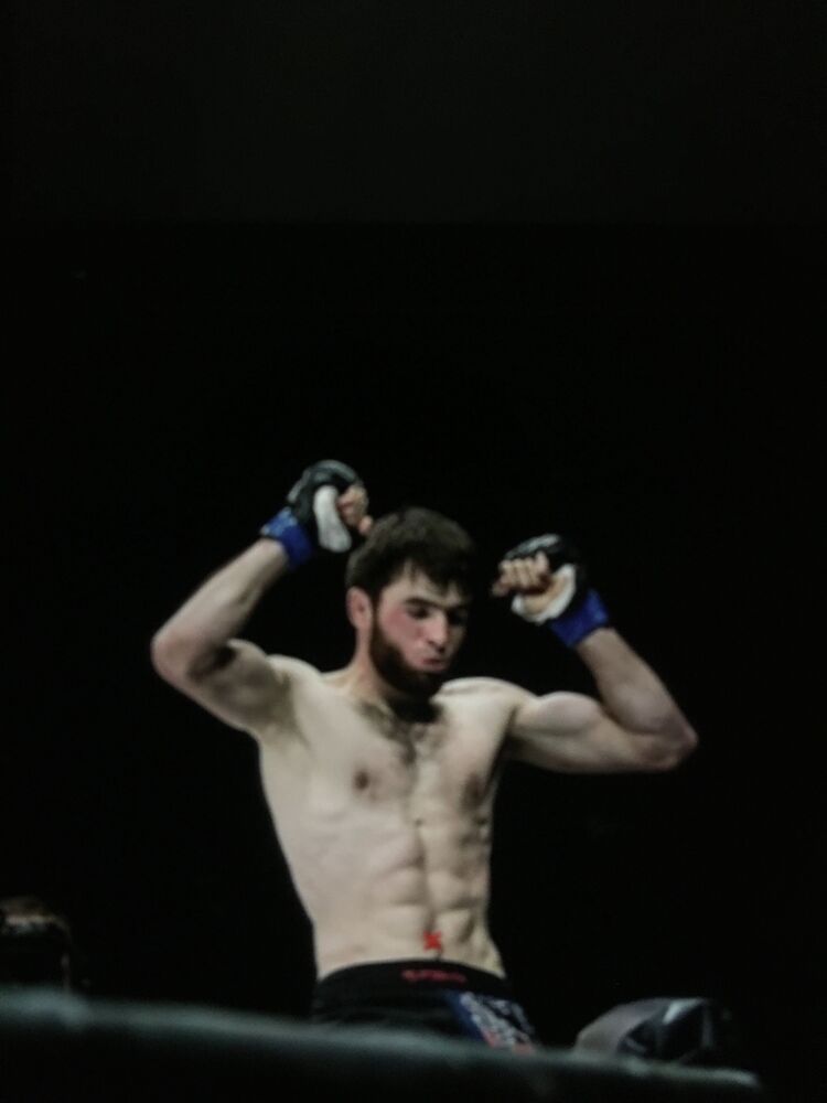 ���� 31134556 ������� ��������, 35 ���, ���� ���������� � ������