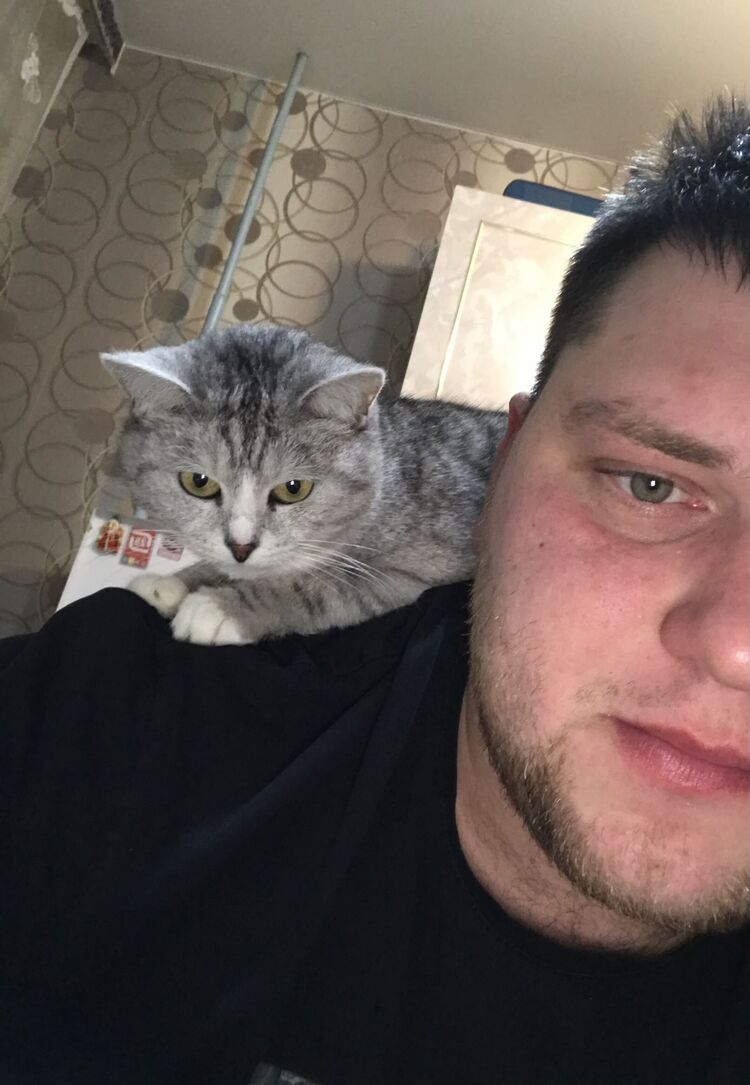 ���������� ���������, ���� ������� �����, 29 ���, ������������ ��� ������, ����� � ���������