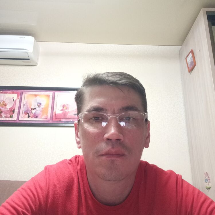  51184796  , 45 ,     