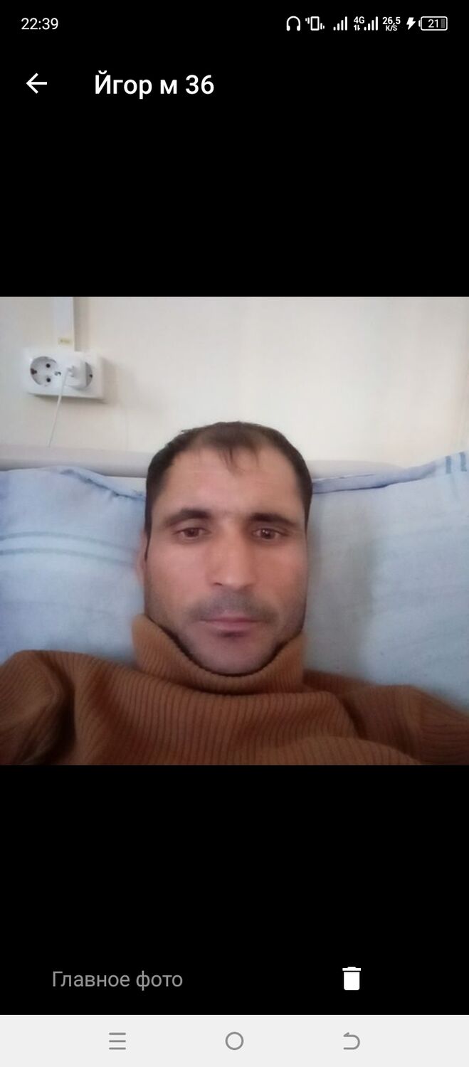  40480366  , 37 ,    