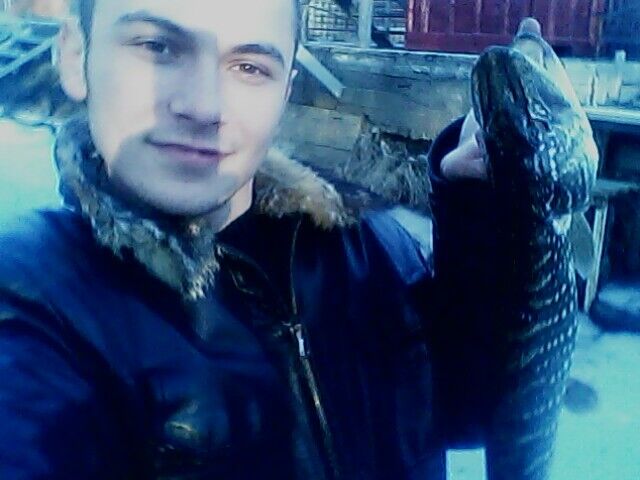 ���� 4036556 ������� �������, 37 ���, ���� ���������� � ������