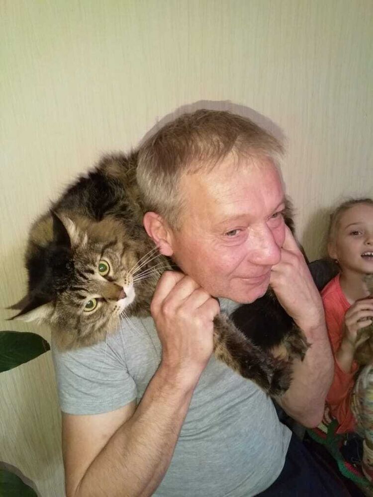 ���������� ������������, ���� ������� �������, 58 ���, ������������ ��� ������, ����� � ���������, c�������� ���������, ���������