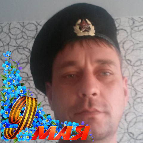  29922146  , 40 ,    