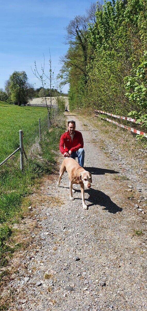  20192116  Francesco, 48 ,    Schwyz