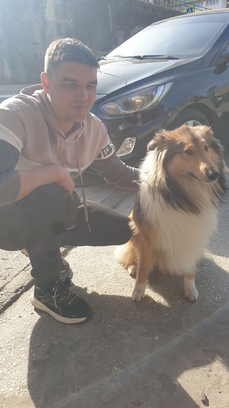 ���������� ���������� �����, ���� ������� �������, 38 ���, ������������ ��� c�������� ���������