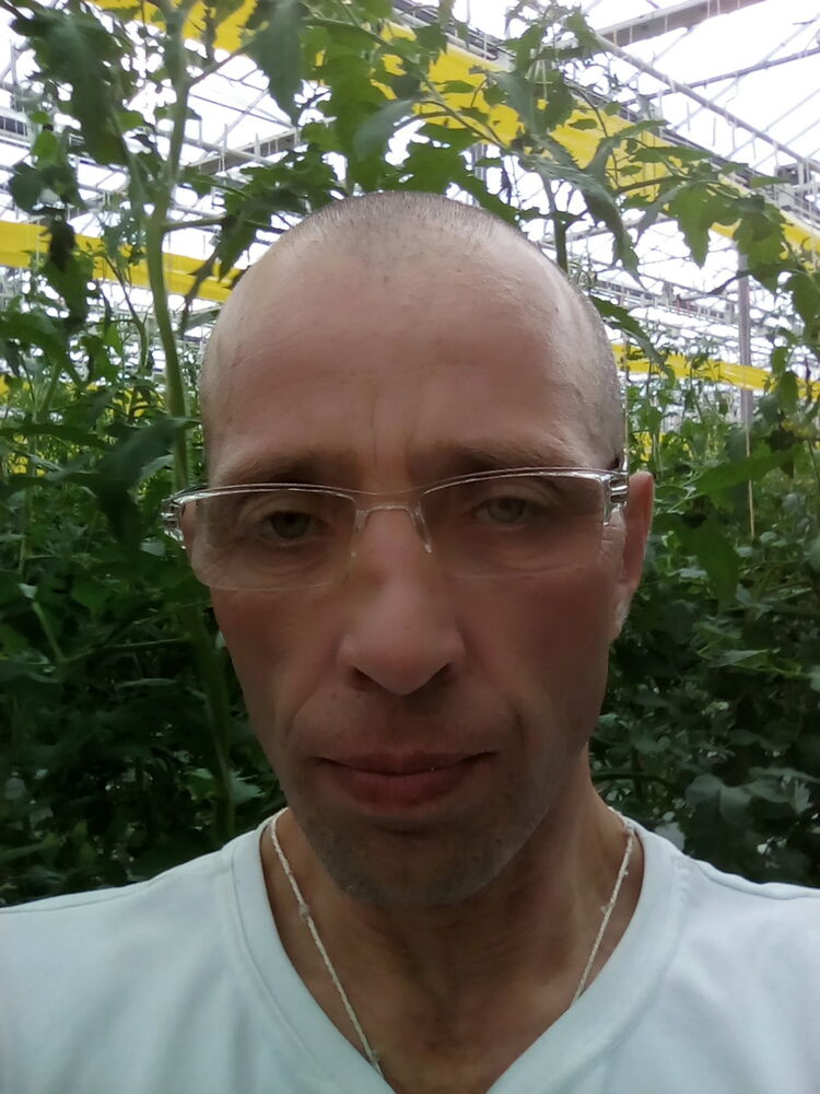 ���� 24212926 ������� ��������, 48 ���, ���� ���������� � ������������