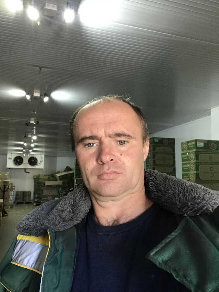  46485766  , 38 ,    