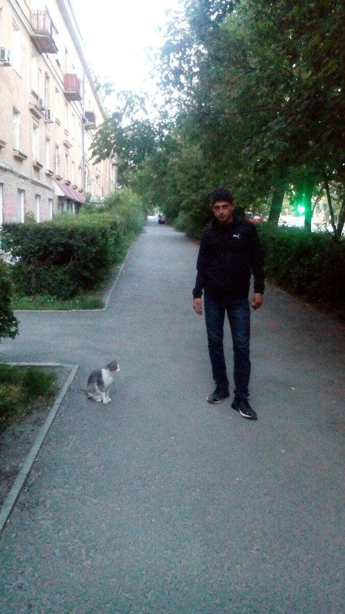 ���� 16833886 ������� ������, 29 ���, ���� ���������� � ����������